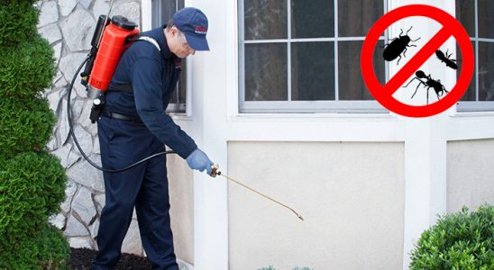 Sarıoğlan Gümüşkurt İlaçlama böcek ilaçlama ve haşere kontrolü — ilaclama-tr.com